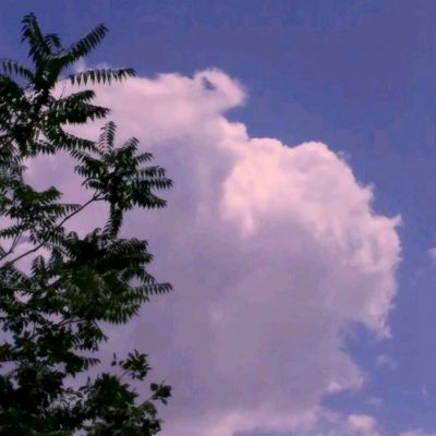 永盈会下载手机版